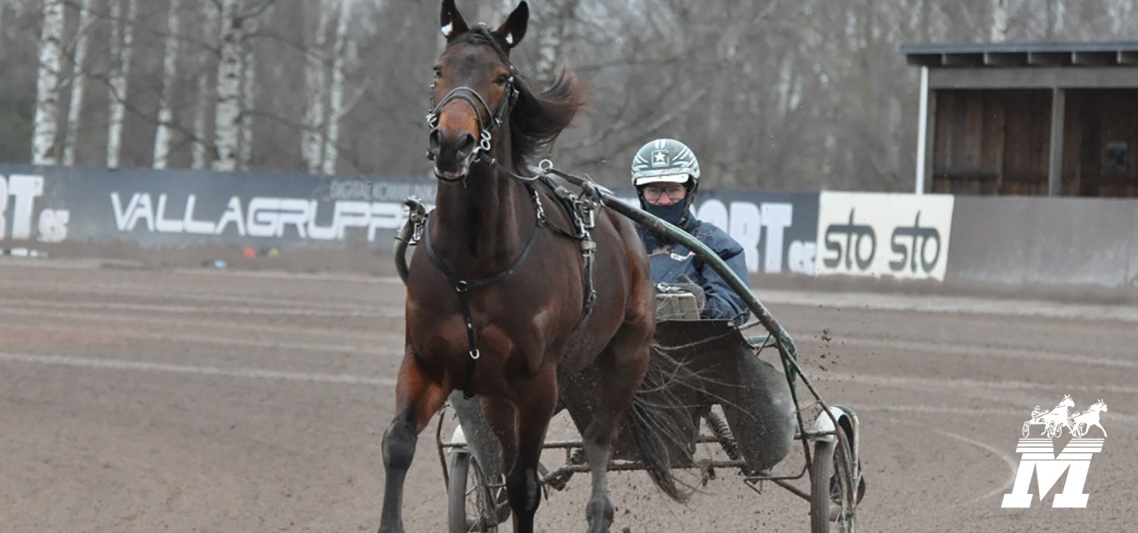 Mantorptravet