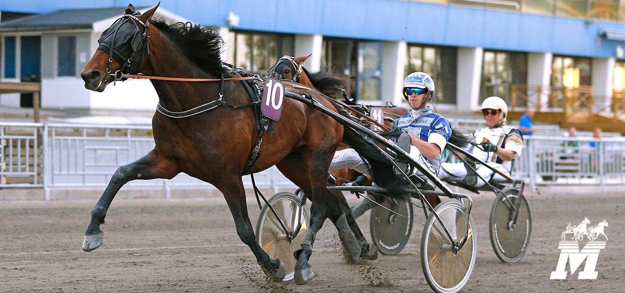 Mantorptravet